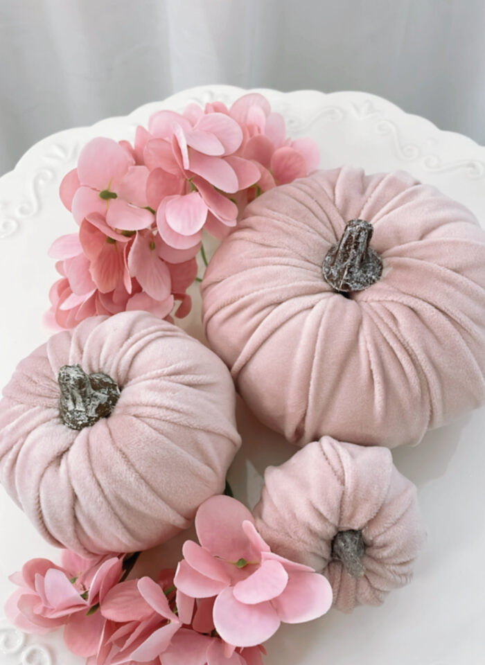 3 Kürbis rosa
